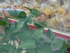 -中关村茶点