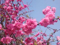 android_upload_pic-灵溪风景区