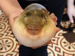 -永安鱼庄·镇江菜(丁卯店)