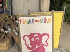 -大象粑粑造纸公园