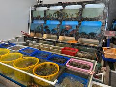 水产区-后田海鲜餐厅(南澳香湖湾店)