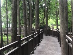 -东湖落雁景区