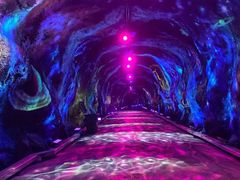 -栾川竹海野生动物园