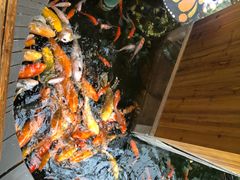 -上海大自然野生昆虫馆(东方明珠·爬宠昆虫探索中心)