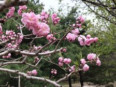 -国家植物园