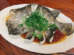 -吴祥记潮州菜·百年老字号·砂锅粥