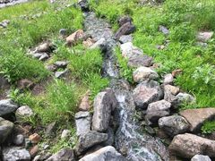 -长白山吉祥物天池水怪专卖