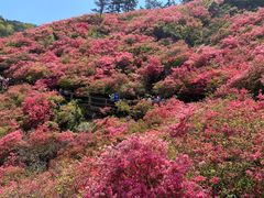-木兰云雾山