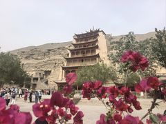 -敦煌莫高窟