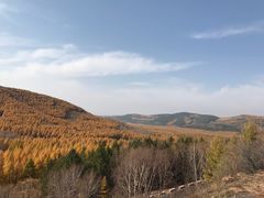 -塞罕坝国家级自然保护区