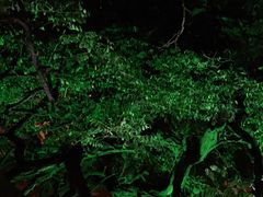 -LAMP BAR 水烟音乐酒吧