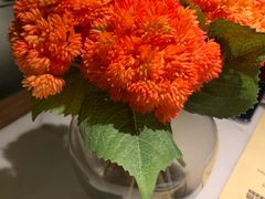 -鼎盛蜀坊·重庆江湖菜(市桥地铁站店)