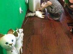 -李小姐の猫咖啡馆(五角场店)