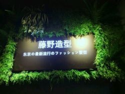 点击看大图 -藤野造型