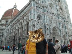 -圣母百花大教堂穹顶