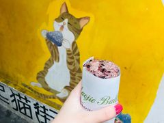 -猫街饭团(顶澳仔猫街店)