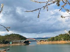 -广州市流溪河国家森林公园