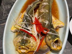 -前海沿·青岛菜(乐客城店)