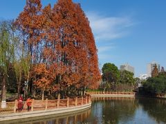 -黄兴公园