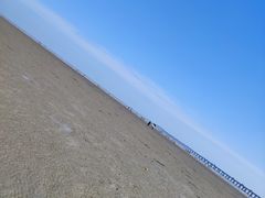 -南汇新城海滩