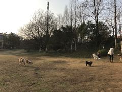 -环城公园-琥珀潭