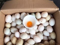 -蠔门宴海鲜城·阳江特色菜