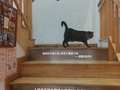 -猫的天空之城概念书店(杭州南宋御街店)