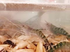 -步步高福朋喜来登·宜客乐西餐厅