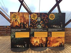 -怀托摩萤火虫洞