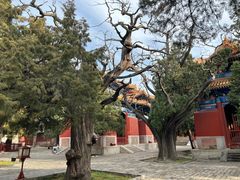 -北京国子监胡同