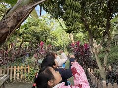 -呀路古热带植物园