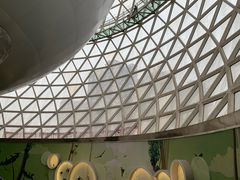 -陕西自然博物馆