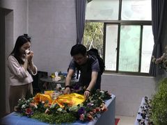 -彩虹桥宠物火化殡葬善终服务(金乐大厦店)