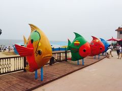 -南戴河国际娱乐中心