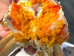 -欢乐蟹庄·精品农家乐(阳澄湖莲花岛店)