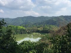 -雁南飞茶田景区