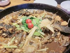 -老板恋上鱼(恒隆广场店)