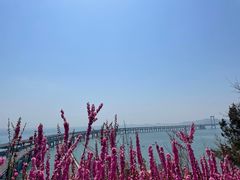 -星海湾跨海大桥