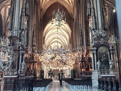 -斯蒂芬主教座堂(Stephansdom)