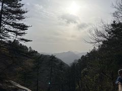 -内乡宝天曼生态旅游区