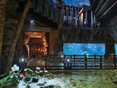 -华夏文旅西安度假区