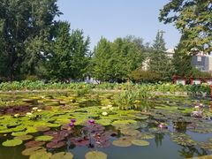 -莲花池公园