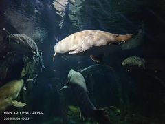 -华夏文旅海洋公园