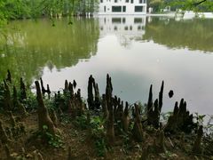 -华南国家植物园-售票处