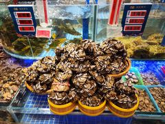 -潍城老菜馆·地标美食