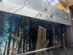 -延庆地质公园博物馆