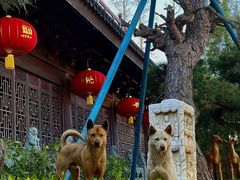-龙华寺