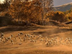 -塞罕坝国家级自然保护区