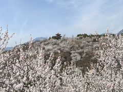 -白水寺森林公园