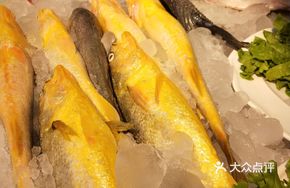 Zhoushan Tide Yellow Croaker